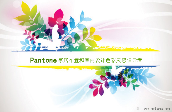 PANTONE灵感设计